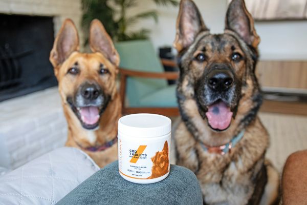 Guide complet sur les carences santé et fourreau canin